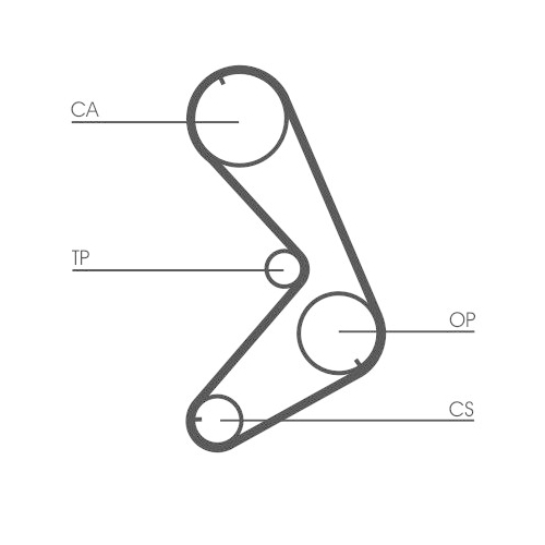 CONTINENTAL CTAM Zahnriemen