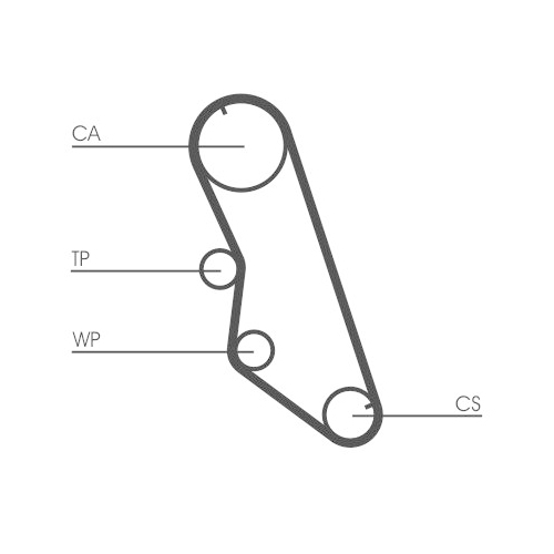 CONTINENTAL CTAM Zahnriemen