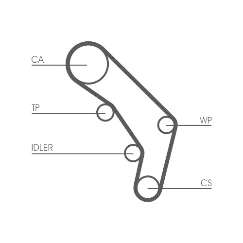 CONTINENTAL CTAM Zahnriemen