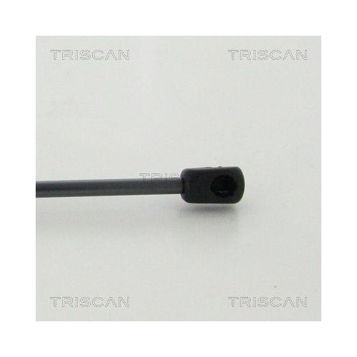 TRISCAN Gasfeder, Koffer-/Laderaum