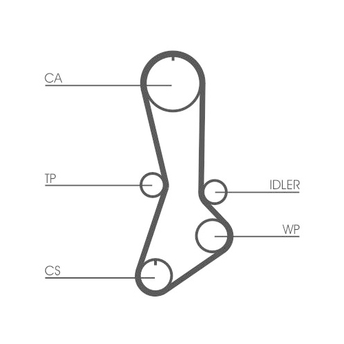 CONTINENTAL CTAM Zahnriemen