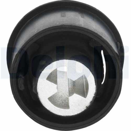 DELPHI Lagerung, Achsk&ouml;rper