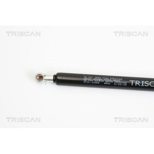 TRISCAN Gasfeder, Koffer-/Laderaum