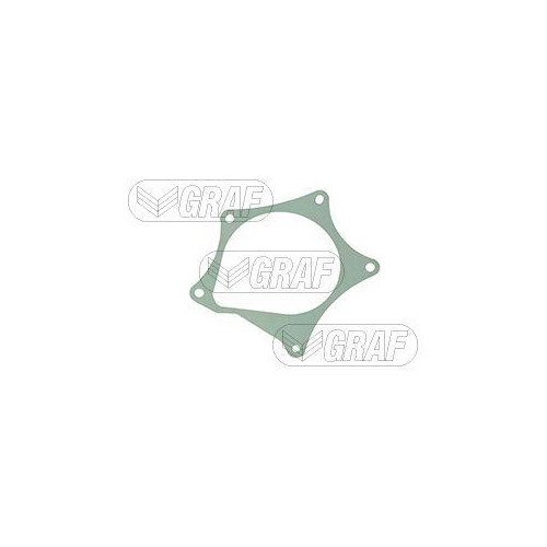 GRAF Wasserpumpe, Motork&uuml;hlung