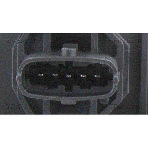 TRISCAN Luftmassenmesser
