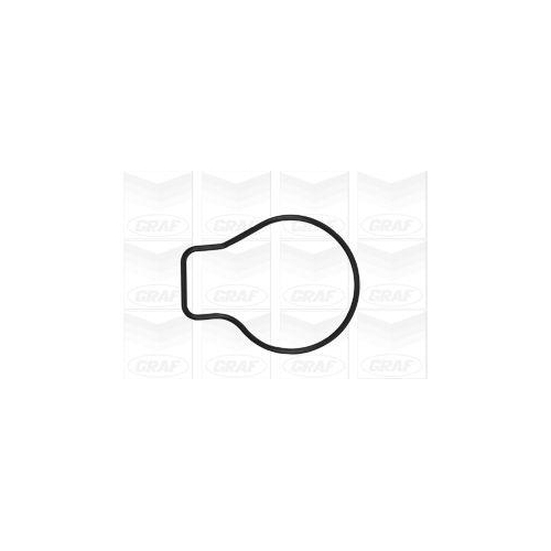 GRAF Wasserpumpe, Motork&uuml;hlung