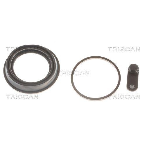 TRISCAN Dichtung, Bremssattelkolben