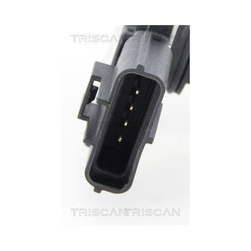 TRISCAN Luftmassenmesser