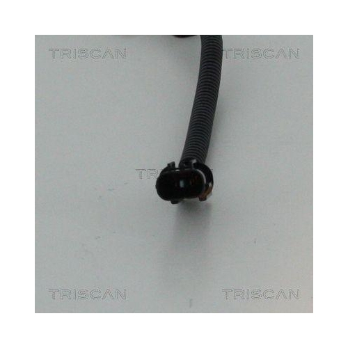 TRISCAN Sensor, Raddrehzahl