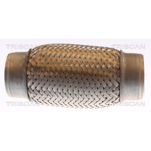 TRISCAN Flexrohr, Abgasanlage