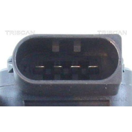 TRISCAN Luftmassenmesser