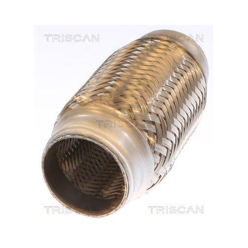 TRISCAN Flexrohr, Abgasanlage