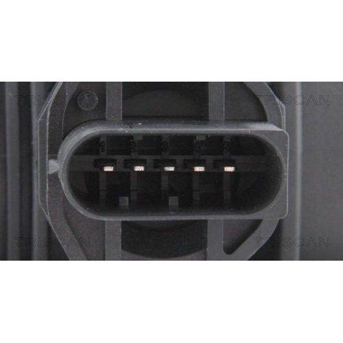 TRISCAN Luftmassenmesser