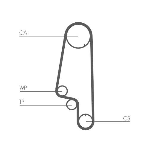 CONTINENTAL CTAM Zahnriemen