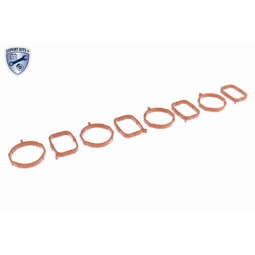 VAICO Saugrohrmodul EXPERT KITS +