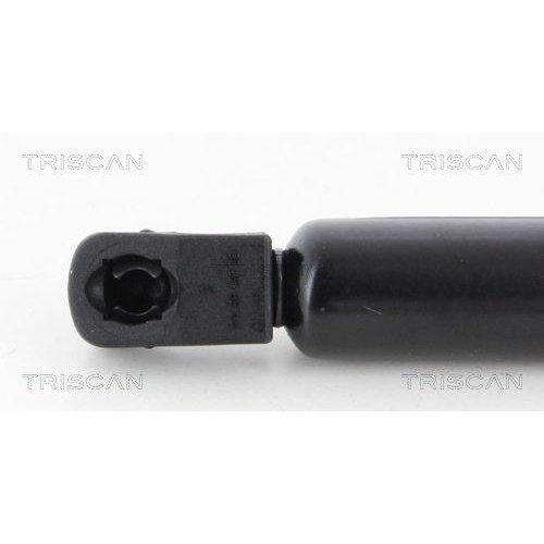 TRISCAN Gasfeder, Koffer-/Laderaum