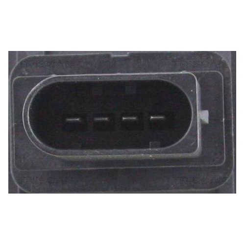 TRISCAN Luftmassenmesser