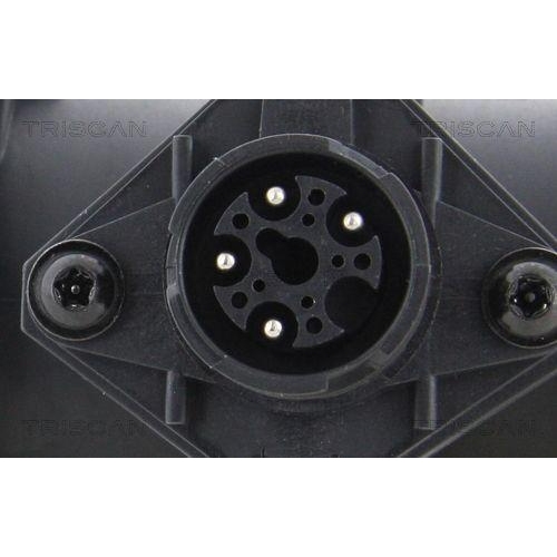 TRISCAN Luftmassenmesser