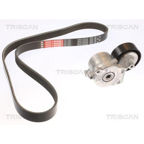 TRISCAN Keilrippenriemensatz