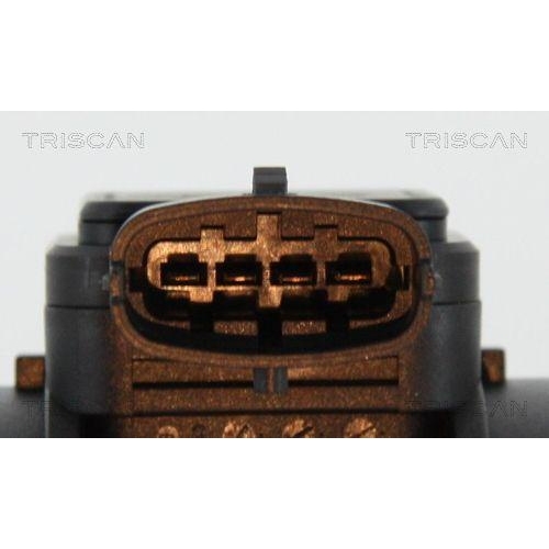 TRISCAN Luftmassenmesser