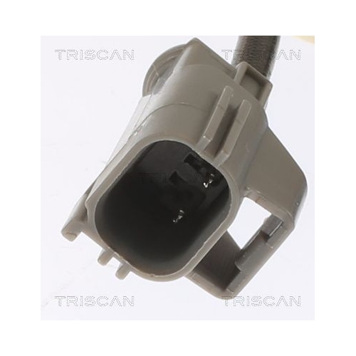 TRISCAN Sensor, Abgastemperatur