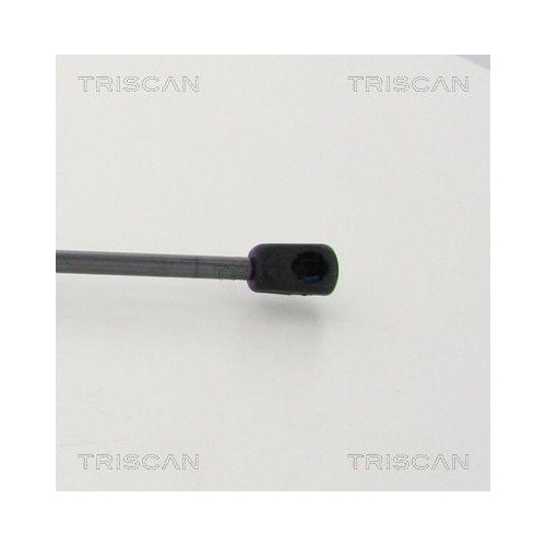 TRISCAN Gasfeder, Koffer-/Laderaum
