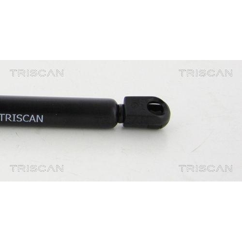 TRISCAN Gasfeder, Motorhaube