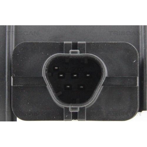 TRISCAN Luftmassenmesser