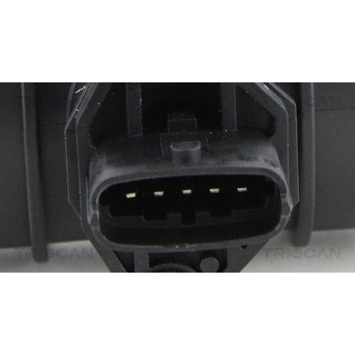 TRISCAN Luftmassenmesser
