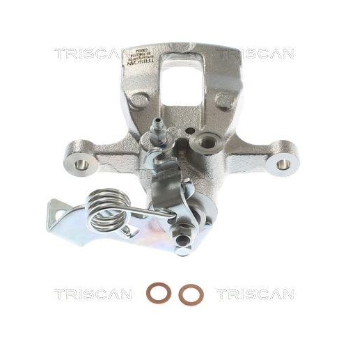 TRISCAN Bremssattel