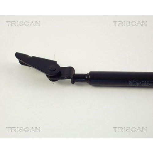 TRISCAN Gasfeder, Koffer-/Laderaum
