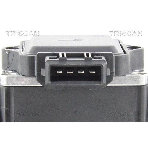 TRISCAN Luftmassenmesser