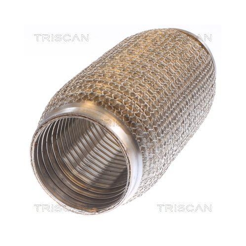 TRISCAN Flexrohr, Abgasanlage