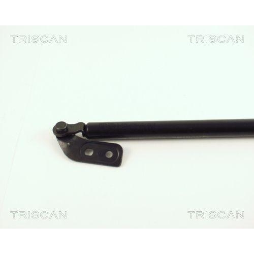 TRISCAN Gasfeder, Koffer-/Laderaum