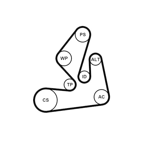 CONTINENTAL CTAM Keilrippenriemensatz