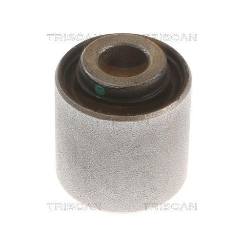 TRISCAN Lagerung, Lenker