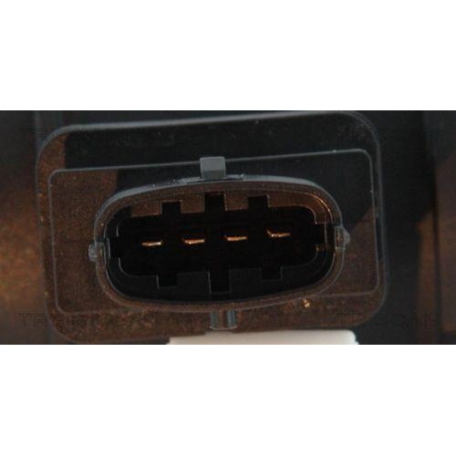 TRISCAN Luftmassenmesser