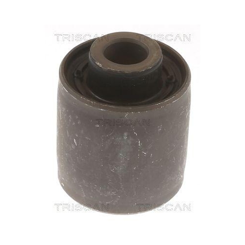 TRISCAN Lagerung, Lenker