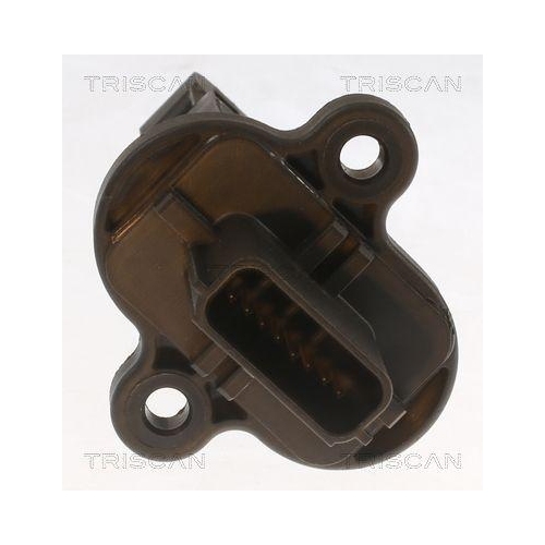 TRISCAN Luftmassenmesser