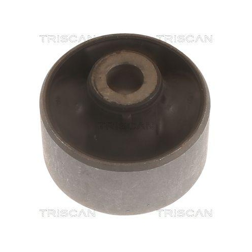 TRISCAN Lagerung, Lenker