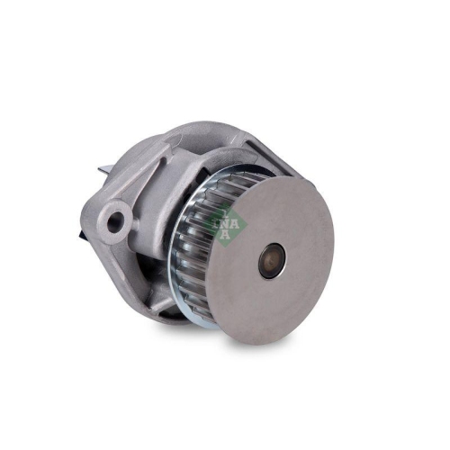 Schaeffler INA Wasserpumpe, Motorkühlung