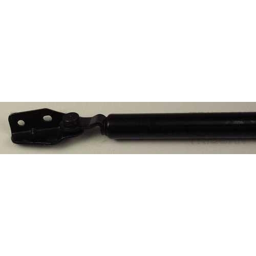 TRISCAN Gasfeder, Koffer-/Laderaum