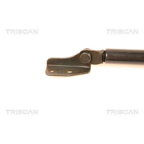 TRISCAN Gasfeder, Koffer-/Laderaum