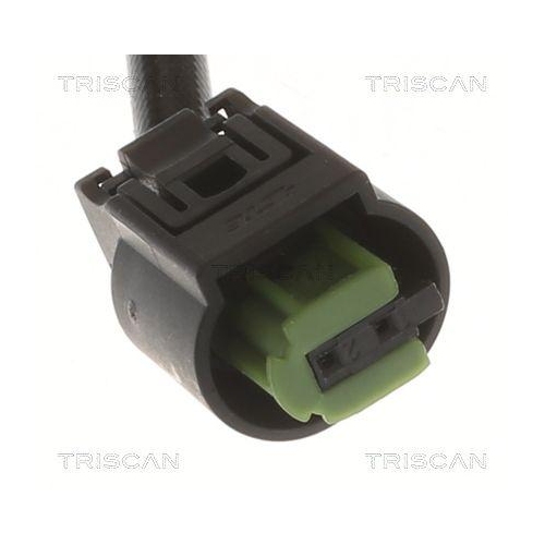 TRISCAN Sensor, Abgastemperatur