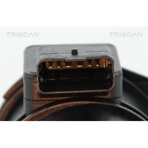 TRISCAN Luftmassenmesser