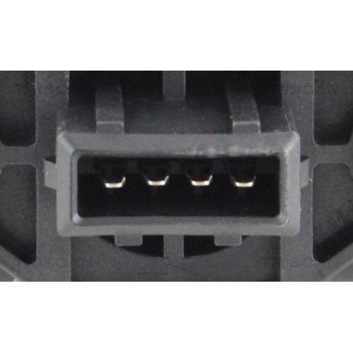 TRISCAN Luftmassenmesser