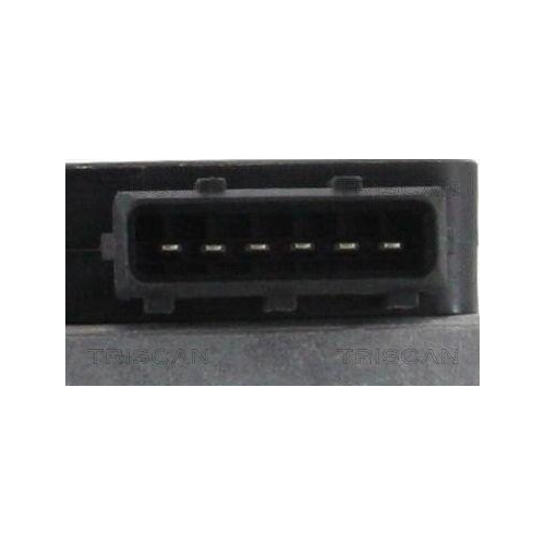 TRISCAN Luftmassenmesser