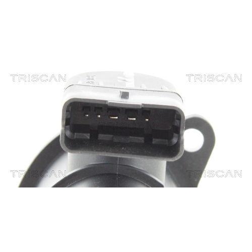 TRISCAN Luftmassenmesser