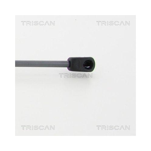 TRISCAN Gasfeder, Koffer-/Laderaum