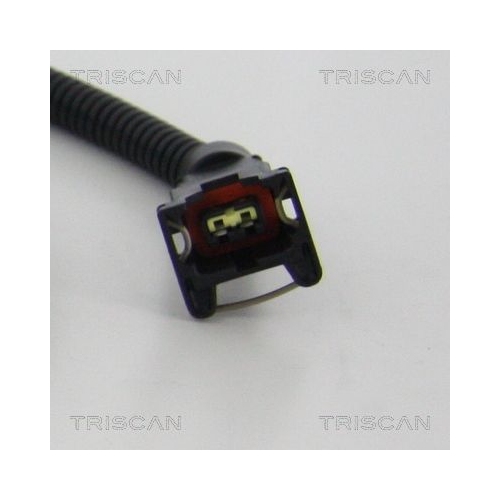 TRISCAN Sensor, Raddrehzahl